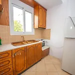 Cikuli Daire