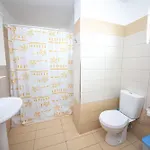 Cikuli