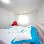Cikuli *