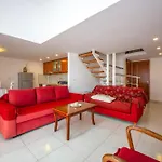 Cikuli Daire
